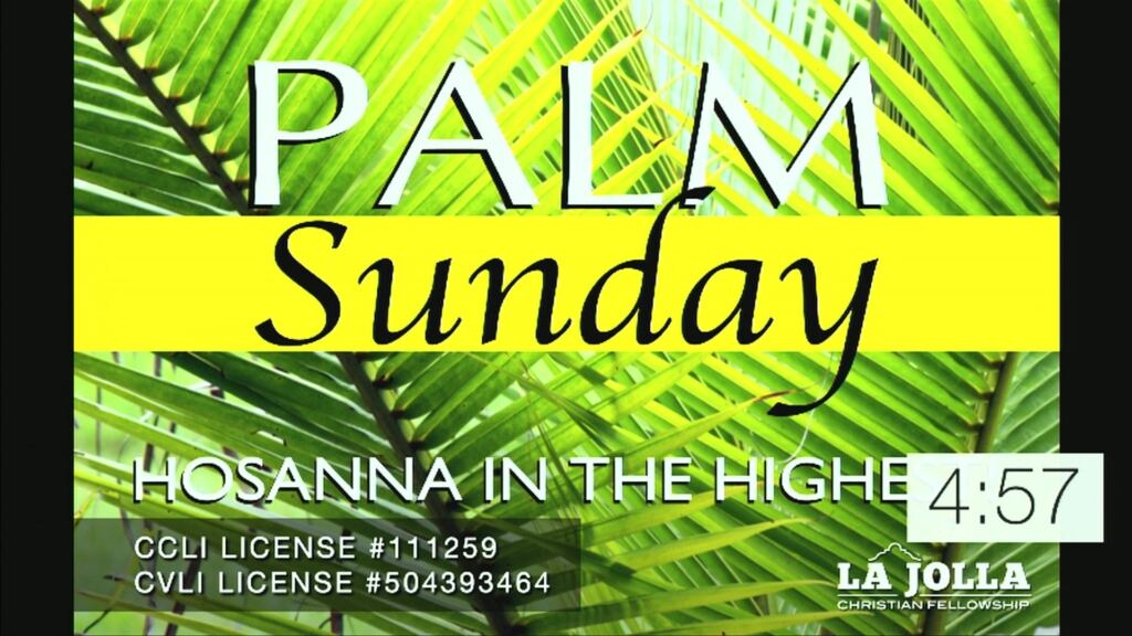 APR 2 2023 | Palm Sunday: Of Donkeys, Figs and Mountains – Mark 11