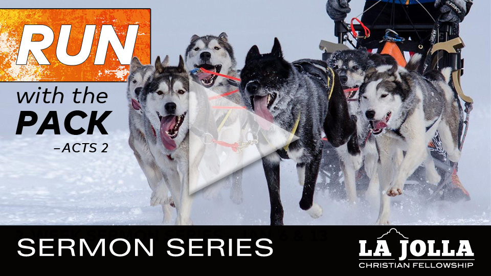 JAN 13 2019 | Run with the Pack S1E2 | Massive Social Change